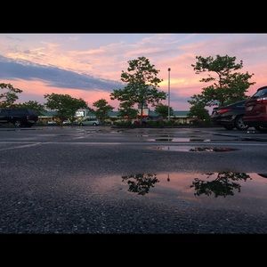 Meet your Posher, Abbey